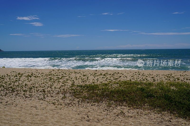 armacao Beach - Florianopolis, Santa Catarina，圣卡塔琳娜